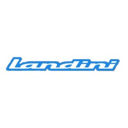 Landini